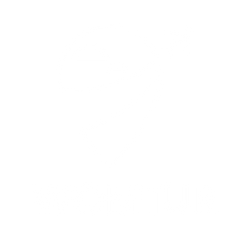 WOMTUR Logo
